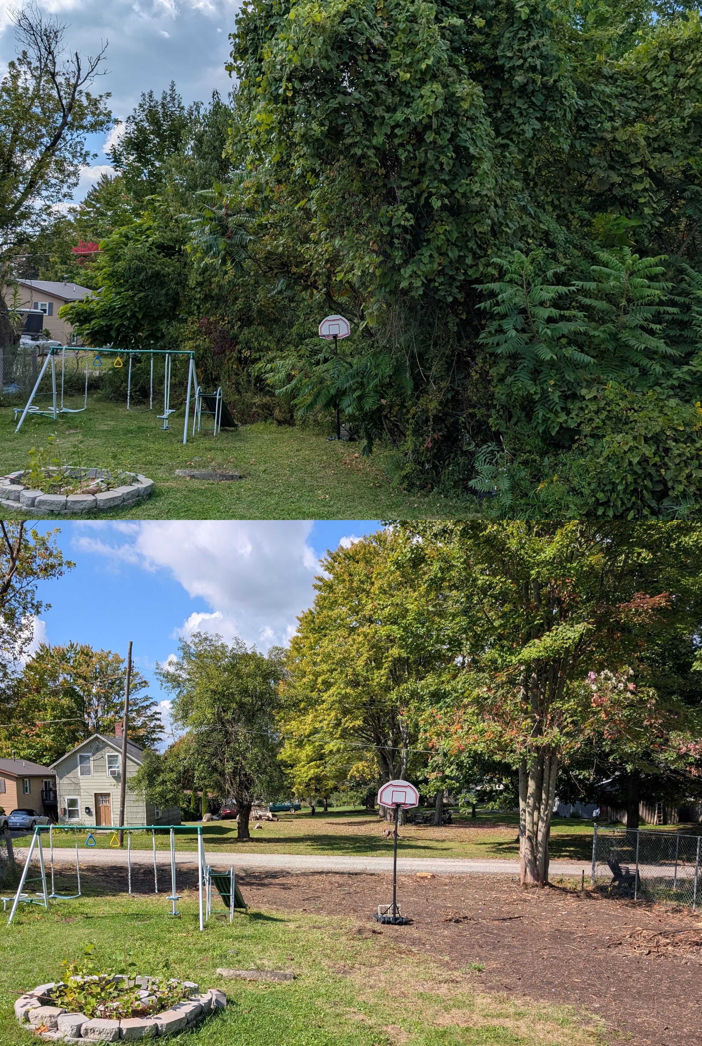 Rapid Reset before after